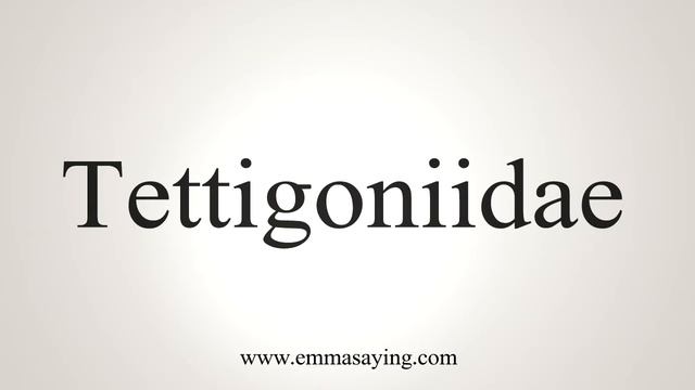 How To Say Tettigoniidae смотреть онлайн