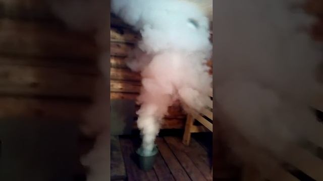 Фумигация от древоточца(дезинсекция)