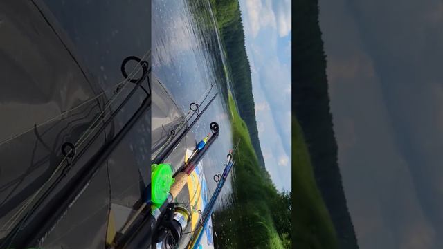 река шуя. лето 2022. карелия смотреть онлайн