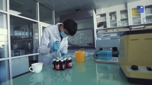 Қызыл кітаптағы өсімдіктер. «Labs.kz»