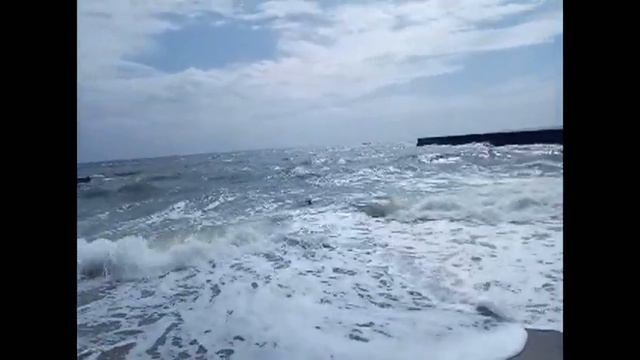 Собака для дома и семьи/Dog For Home And Family