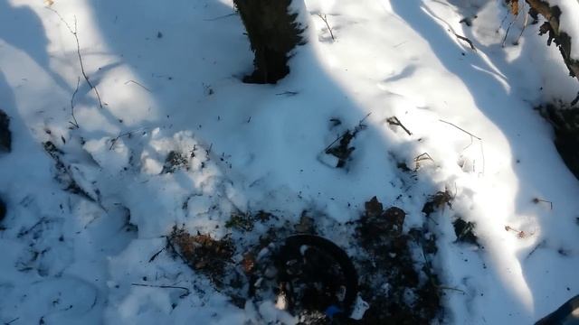 Особенности зимнего копа в лесу..... смотреть онлайн