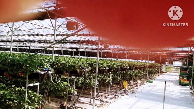 Dito na nag work si ako.#Bong Nong Won . смотреть онлайн