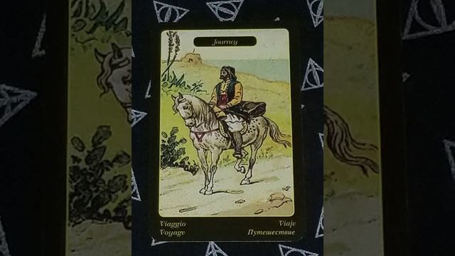 Gypsy Oracle Flip Through смотреть онлайн