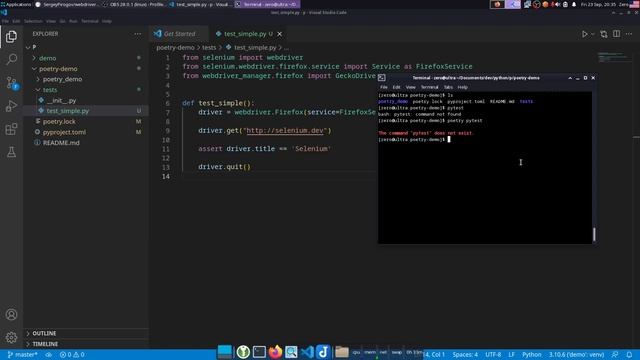 Poetry + simple Selenium test смотреть онлайн