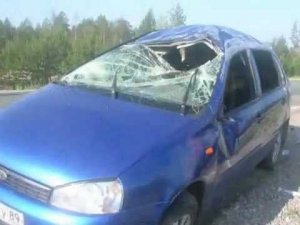 Новости Муравленко, 18 июня 2012г.