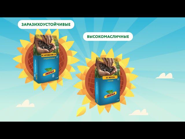 Big text7 смотреть онлайн
