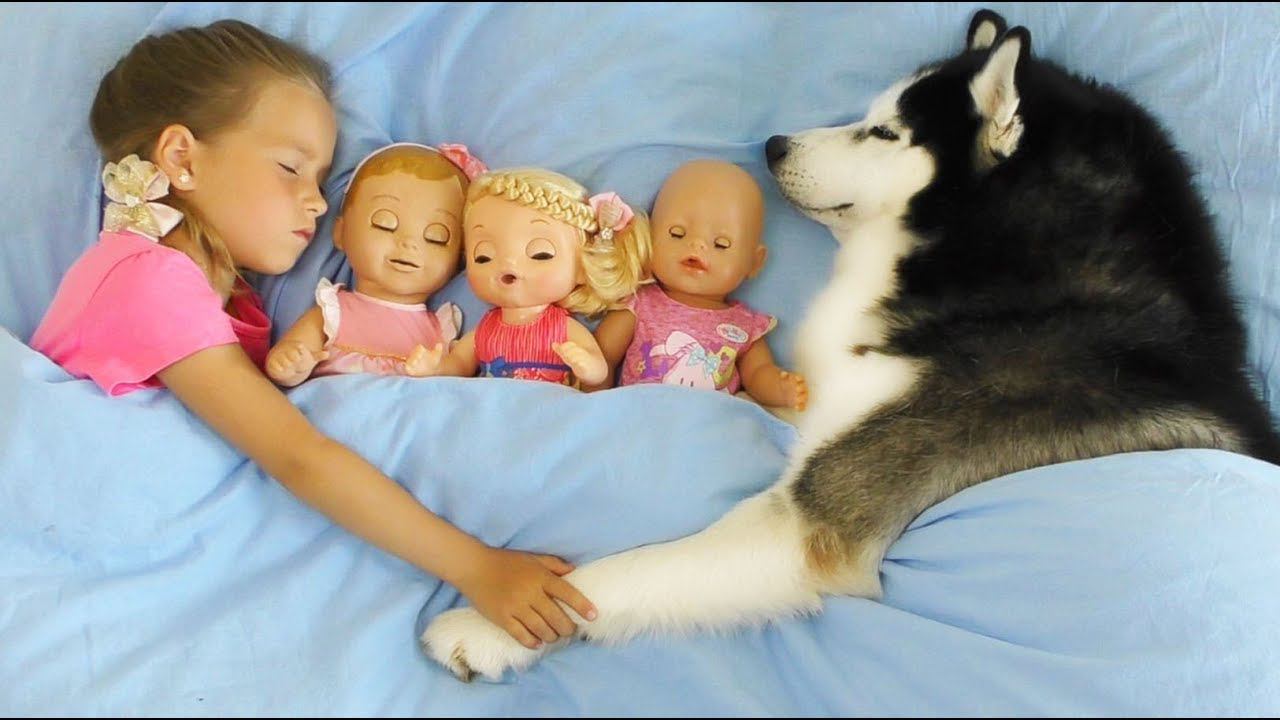 София и Забавная история про Любимые Игрушки, Куклы и Собаку смотреть онлайн