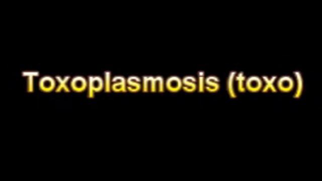 What Is The Definition Of Toxoplasmosis toxo смотреть онлайн