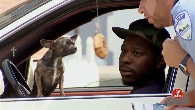 Смешные видео #131.mp4 смотреть онлайн