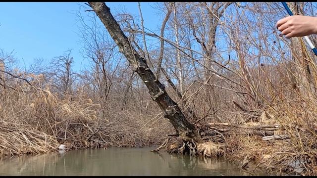 Рыбалка на поплавок в ручьях, весна 2023 смотреть онлайн