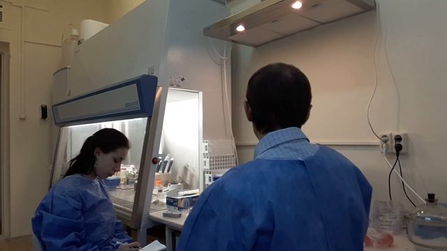 Методика бакпосева мокроты. Часть 1. смотреть онлайн