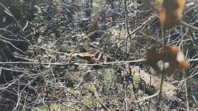 VID 20220815 123500 Солнце за Очаковым 1974 (Г. Айги)...Павел Васильев Лахтинский смотреть онлайн