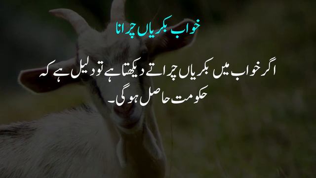 🐐Khwab mein Bakra ya bakri Dekhna | Goat in dream | Khwabon ki Tabeer Episode 19 | Mohsin Raza Aati смотреть онлайн
