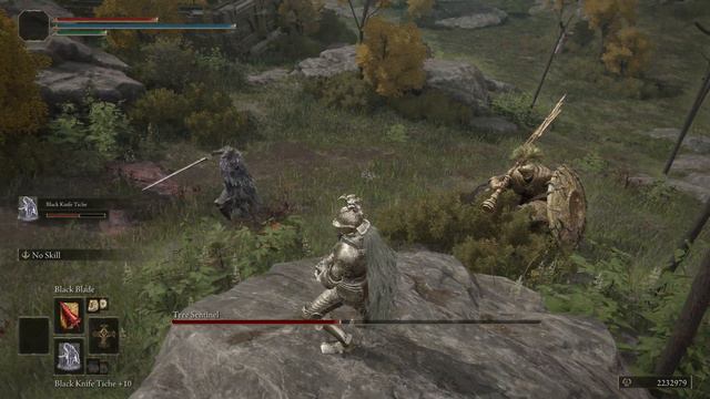 ELDEN RING [(Spirit Summon)Blaidd the Half Wolf VS Tree Sentinel ] смотреть онлайн