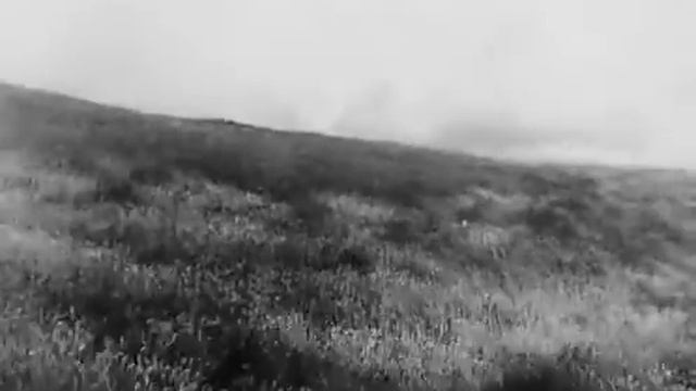 «Земля» (1930) Фрагмент смотреть онлайн