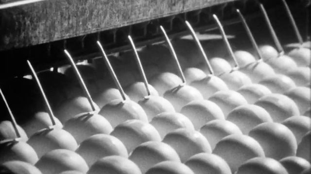 Механизация в птицеводстве_ линия ЛОЯ-4, 1981. смотреть онлайн