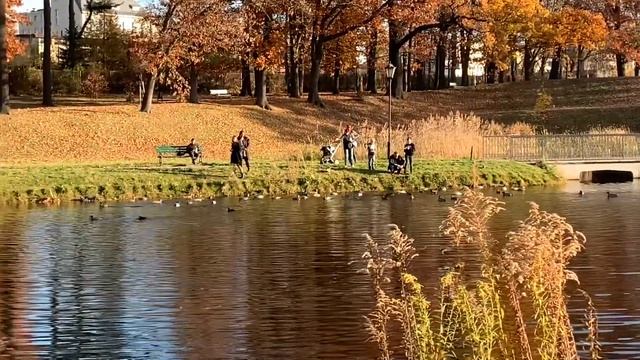 Мини-экскурсия по городу Лодзь, Польша смотреть онлайн