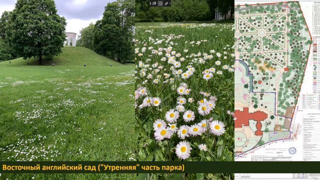 Реставрация Увеселительного парка Усадьбы Останкино и восстановление напочвенного покрова