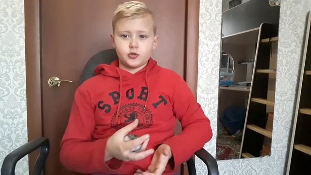 Всё о беговом колесе джунгарского хомяка смотреть онлайн