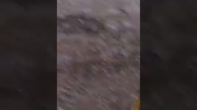 Пяний бомж:) смотреть онлайн