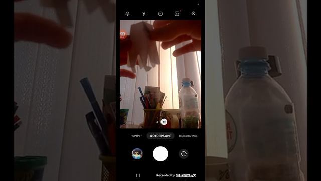 Как сделать бумажного котика beluga kitty? смотреть онлайн
