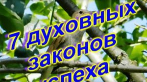 Дипак Чопра. 7 духовных законов успеха