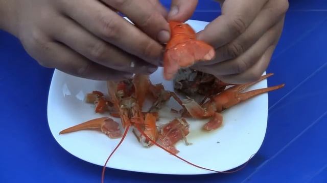 Что можно кушать у рака(Дневник рыболова) смотреть онлайн