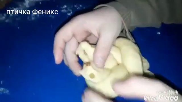 Выпечка красивой формы. смотреть онлайн