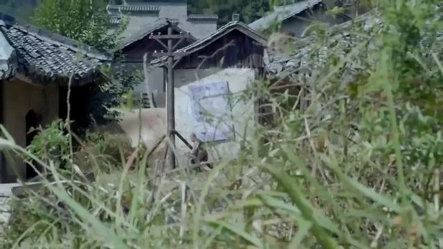 抗日功夫電影！步履蹣跚的老太竟是江湖第一殺手，用棍子殺敵無數 ⚔️ 抗日 смотреть онлайн