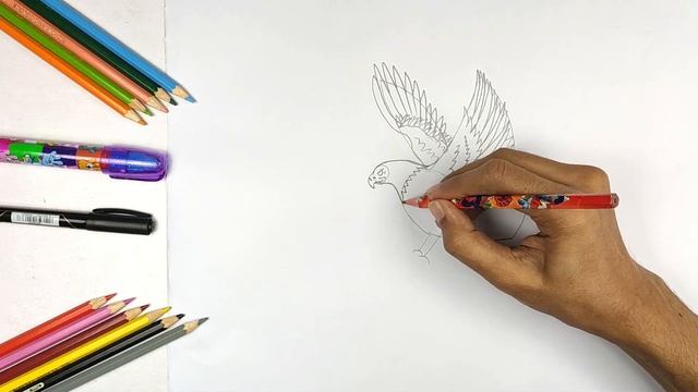 Draw a Eagle I Eagle Bird Drawing Tutorial смотреть онлайн