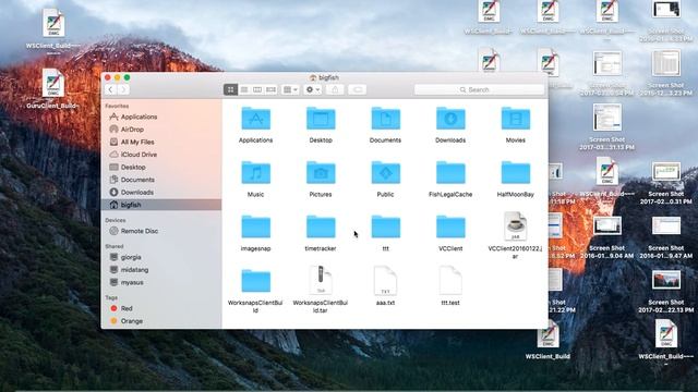 Locate Log File on MAC смотреть онлайн