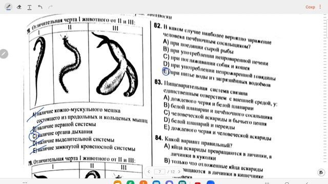 Черви .Моллюски. Сборник тестов. ДИМ. смотреть онлайн