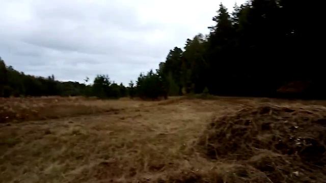 Собираю сено, делаю копны смотреть онлайн