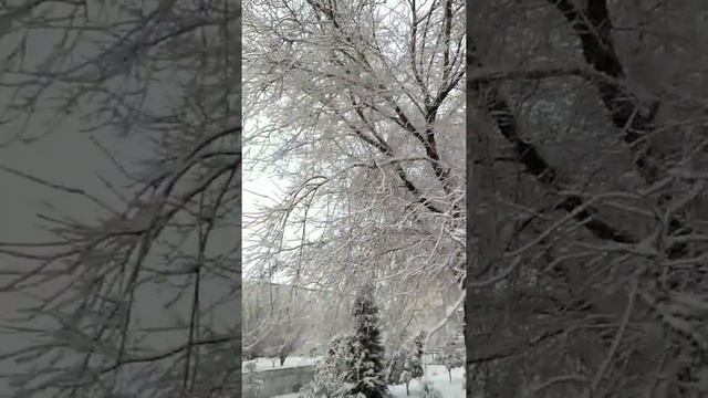 Город Учкудук 19.01.2022❄️❄️ смотреть онлайн