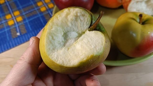 Обзор сортов яблони Имант, Памяти Сикоры, Дарунок, Дыямент, Зоя. 2 января 2023г смотреть онлайн