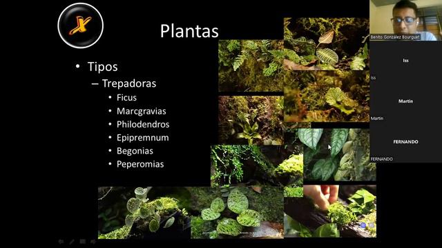 DISEÑO, CONTRUCCIÓN, ACONDICIONAMIENTO Y ESTABILIZACIÓN BIOLÓGICA DE TERRARIOS BIOACTIVOS Parte 3 смотреть онлайн