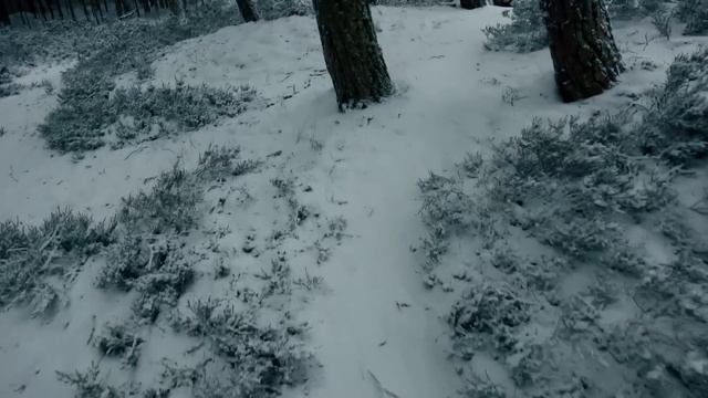 Один в лесу. Через снега к морю. Ем пеммикан, травма ноги, новые ботинки. смотреть онлайн