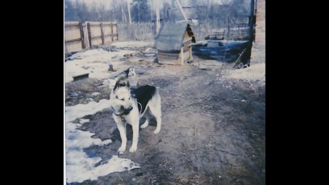 калуга 1991-1999 г. смотреть онлайн