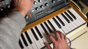 Shine On You Crazy Diamond (Behringer Poly D)