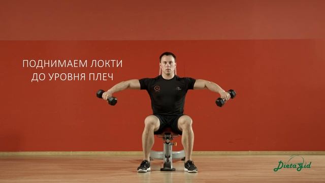 Разведение гантелей в стороны сидя смотреть онлайн