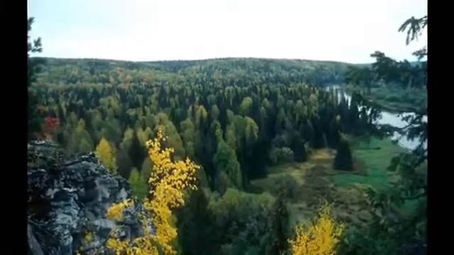 Komi Song 'Katšasinjas' 'Daisies' Коми песня