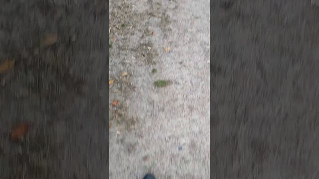 иду на тренеровку часть 2 смотреть онлайн