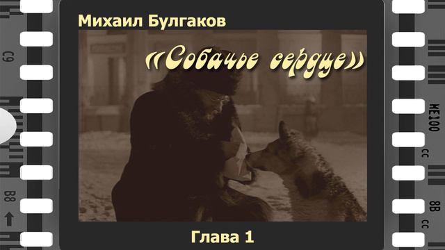 Михаил Булгаков "Собачье сердце". 1-я глава. Читает Сергей Рубашкин. смотреть онлайн