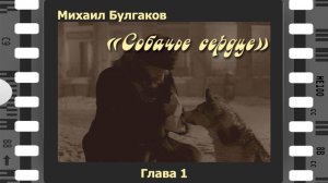 Михаил Булгаков "Собачье сердце". 1-я глава. Читает Сергей Рубашкин.