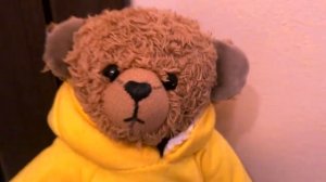 ПОЧЕМУ ГНОМИК ЖЕЛАНИЙ ПРИНОСИТ ПОДАРКИ