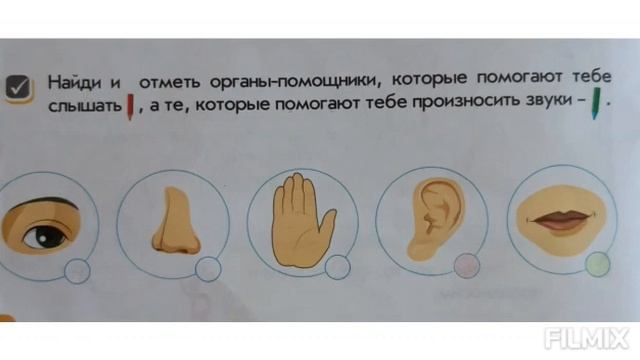 25 Естествознание Как стрекочет кузнечик смотреть онлайн