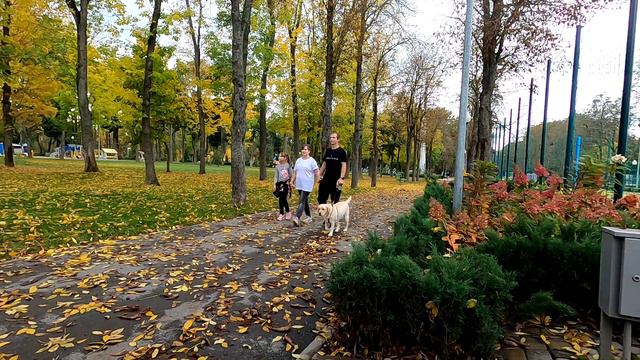 Осенний парк Горького в Харькове Первый день октября смотреть онлайн