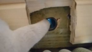 Анкер для крепления кабеля СИП к стене из газобетона