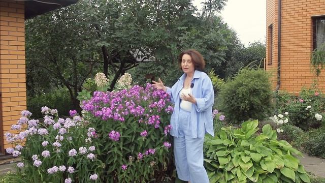 Июль в Саду I Сад Людмилы Кудасовой смотреть онлайн